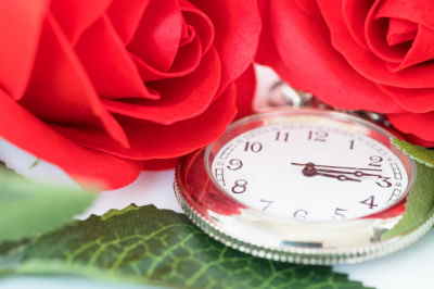 Bouquet 12 Rosas Tallo Corto, Ramo de Rosas Rojas para San Valentín, Rosas Rojas para Sant Jordi, Rosas Rojas, Envíos Florales Urgentes a Barcelona