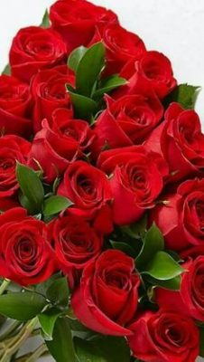 Ramo Funerario 6 Rosas, Ramo de Defunción, Ramos de Flores para Difuntos, Flores para Sepelio, Enviar Flores al Tanatorio