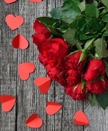 Rosas Rojas para san Valentin